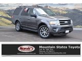 Magnetic Metallic Ford Expedition in 2016
