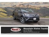 2018 Magnetic Gray Metallic Toyota RAV4 XLE AWD #123051788