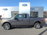 2014 Sterling Grey Ford F150 STX SuperCab 4x4 #123108286