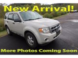 2009 Kiwi Green Metallic Ford Escape XLS 4WD #123130496