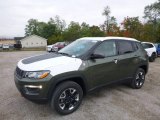 2018 Olive Green Pearl Jeep Compass Trailhawk 4x4 #123154513