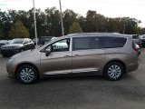 Molten Silver Chrysler Pacifica in 2018