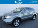 2010 Opal Sage Metallic Honda CR-V EX-L AWD #123469712