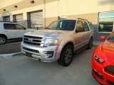 2017 Ingot Silver Ford Expedition XLT 4x4 #123489737