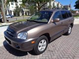 2006 Hyundai Santa Fe GLS