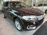 2018 BMW X5 Sparkling Brown Metallic