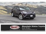 2018 Black Current Metallic Toyota RAV4 Limited AWD #123616008