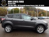 2018 Magnetic Ford Escape SEL 4WD #123666738