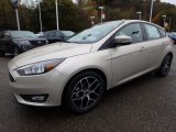 White Gold Ford Focus in 2018