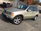 2001 Pearl Beige Metallic BMW X5 3.0i #123666840