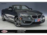 2018 Mineral Grey Metallic BMW 2 Series 230i Convertible #123698901