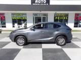 Nebula Gray Pearl Lexus NX in 2017