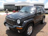 2004 Black Clearcoat Jeep Liberty Limited #12354881