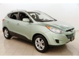 2011 Kiwi Green Hyundai Tucson GLS #123988408