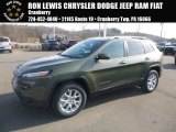 Olive Green Pearl Jeep Cherokee in 2018