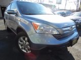 2007 Glacier Blue Metallic Honda CR-V EX-L 4WD #124165960