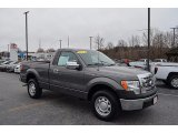 2011 Sterling Grey Metallic Ford F150 XL Regular Cab #124257951