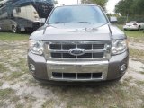 2012 Sterling Gray Metallic Ford Escape Limited #124281886