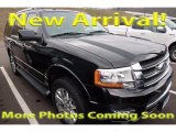 Shadow Black Metallic Ford Expedition in 2016