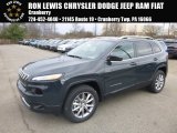 2018 Jeep Cherokee Rhino