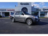 2017 Magnetic Ford Expedition XLT #124362727