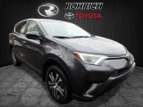2018 Magnetic Gray Metallic Toyota RAV4 LE AWD #124458753