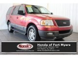 2003 Laser Red Tinted Metallic Ford Expedition XLT #124502642