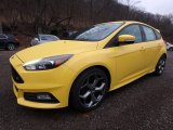 Triple Yellow Ford Focus in 2018