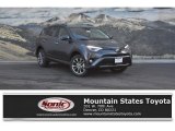 2018 Magnetic Gray Metallic Toyota RAV4 Limited AWD #124556154