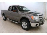 2014 Sterling Grey Ford F150 XLT SuperCab 4x4 #124645024