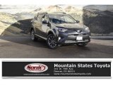 2018 Magnetic Gray Metallic Toyota RAV4 Limited AWD #124644742