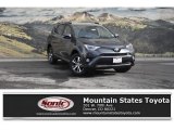 2018 Magnetic Gray Metallic Toyota RAV4 XLE AWD #124667037