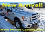 2014 Ingot Silver Ford F150 XLT SuperCrew 4x4 #124699383