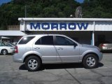 2009 Bright Silver Kia Sorento LX 4x4 #12449069