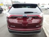 2017 Ford Edge SEL Marks and Logos