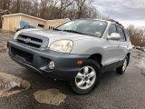 2006 Pewter Hyundai Santa Fe GLS 4WD #125026937