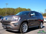 2018 Stone Gray Ford Expedition Platinum 4x4 #125156232