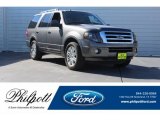 Sterling Gray Metallic Ford Expedition in 2012