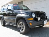 2005 Black Clearcoat Jeep Liberty Renegade 4x4 #12518638