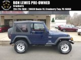 2004 Patriot Blue Pearl Jeep Wrangler X 4x4 #125453257