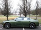 2018 F8 Green Dodge Charger R/T #125534017