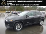 2019 Jeep Cherokee Latitude Plus 4x4