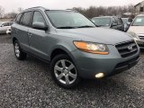 2009 Silver Blue Hyundai Santa Fe SE #125622203