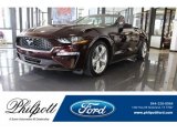 2018 Royal Crimson Ford Mustang EcoBoost Premium Convertible #125644905