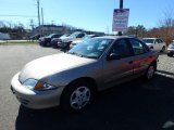 2002 Sandrift Metallic Chevrolet Cavalier LS Sedan #125666543