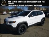 2019 Bright White Jeep Cherokee Trailhawk 4x4 #125666521
