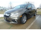 2018 Pacific Pewter Metallic Honda Odyssey EX-L #125861959