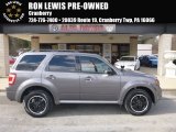 2012 Sterling Gray Metallic Ford Escape XLT 4WD #125889672