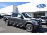2018 Magnetic Ford F150 XLT SuperCrew 4x4 #125902687