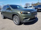 Olive Green Pearl Jeep Cherokee in 2019